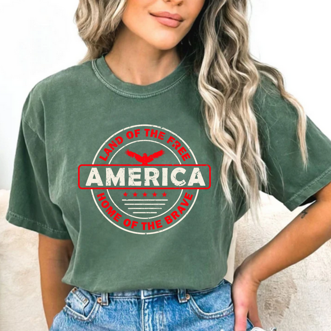 America Comfort Colors Tshirt or District Crewneck Sweatshirt