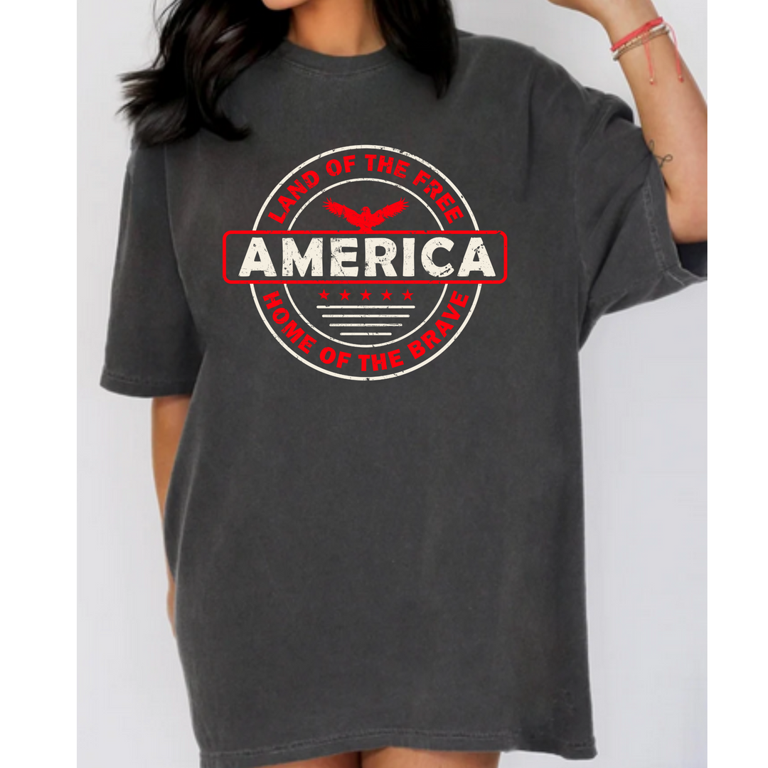 America Comfort Colors Tshirt or District Crewneck Sweatshirt