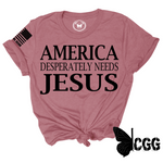 Load image into Gallery viewer, AMERICA DESPERATLEY NEEDS JESUS Tee
